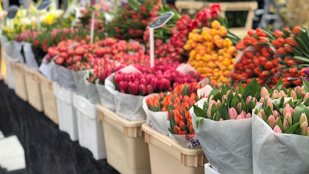 Jersey Cut Flower Market