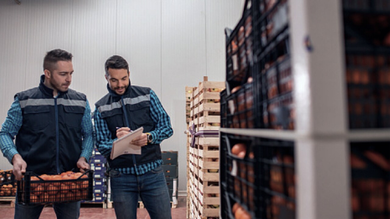 Soluciones para la cadena de frío: un par de trabajadores hablan de productos perecederos en una instalación de almacenamiento en frío.